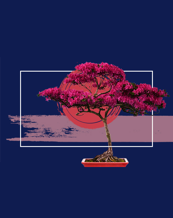 Guiding Greatness Tree